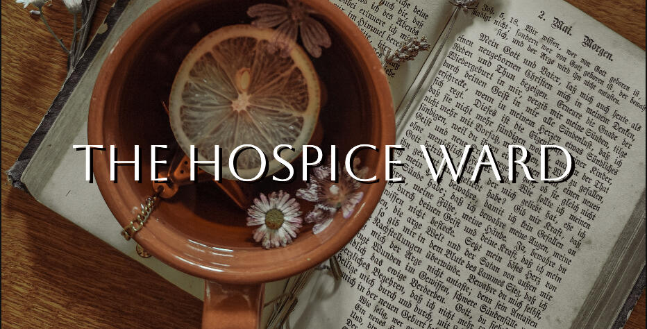 Among the dying, usefulness ceases to determine who deserves care. Here Tenzin meets Aren, and through books, tea, conversation, and shared silence, begins to discover that presence might be enough.